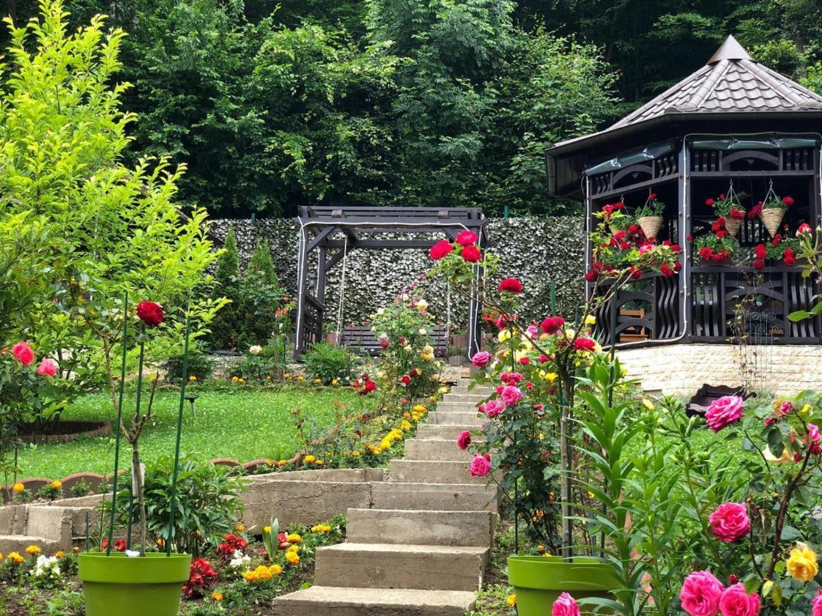 Casa Hera Hotel Sinaia Eksteriør billede